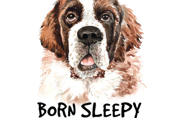 可爱圣伯纳犬裁片印花服装 温馨舒适宠物主题服装印花设计