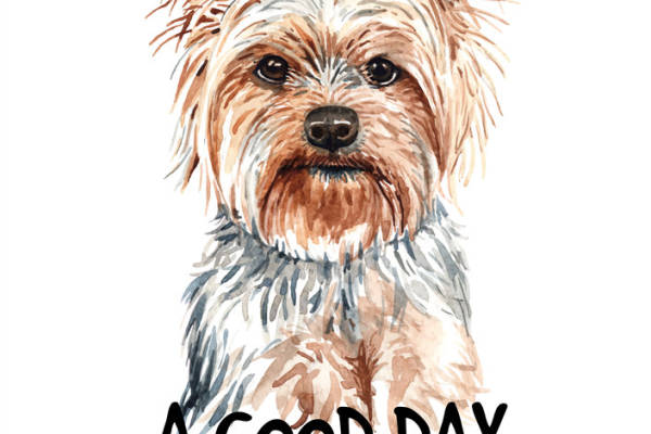 时尚可爱约克夏梗犬裁片印花服装，提升日常穿搭