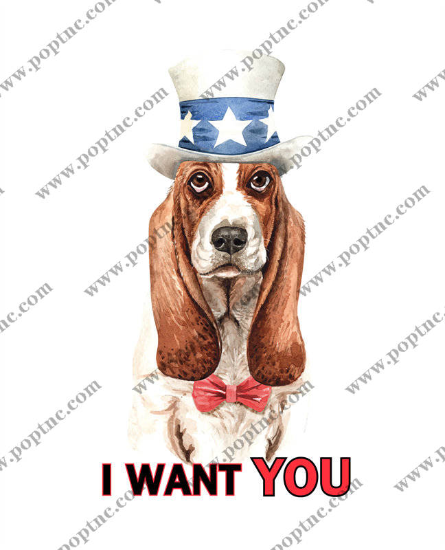 创意爱国裁片印花服装:狗狗穿戴美国元素的趣味设计