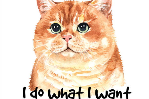 可爱猫咪裁片印花服装:展现个性的时尚选择