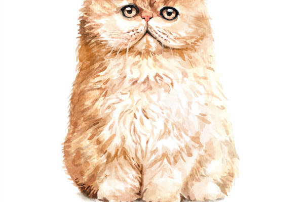 可爱猫咪裁片印花服装，萌趣水彩风格服装印花设计