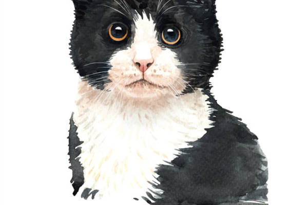 时尚黑白猫裁片印花服装印花设计