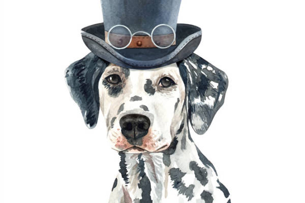 时尚斑点狗裁片印花服装,打造独特个性风格