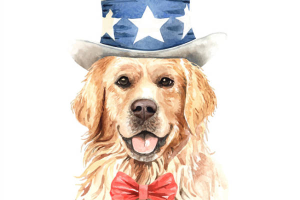 爱国风格狗狗裁片印花服装印花设计