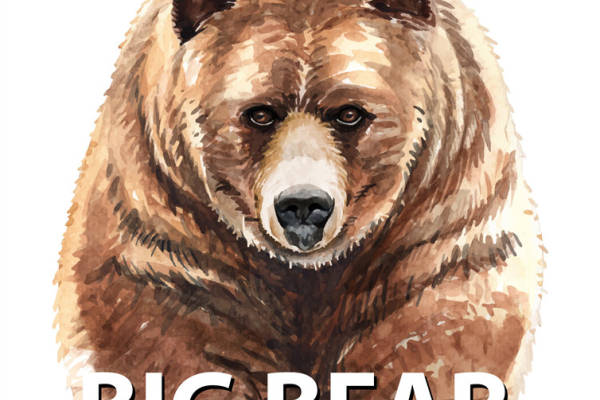 大熊图案裁片印花服装印花设计