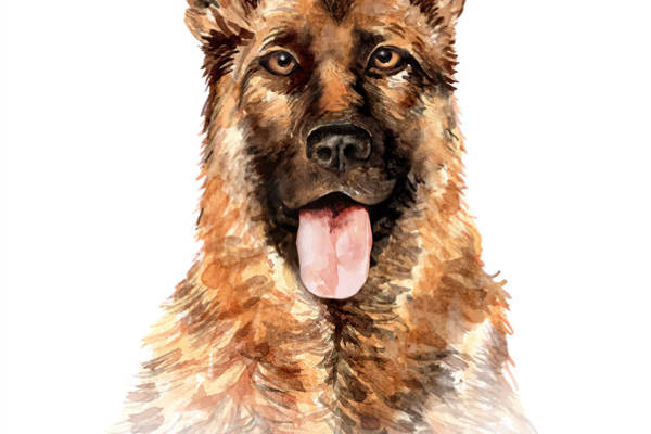 德国牧羊犬水彩裁片印花服装设计