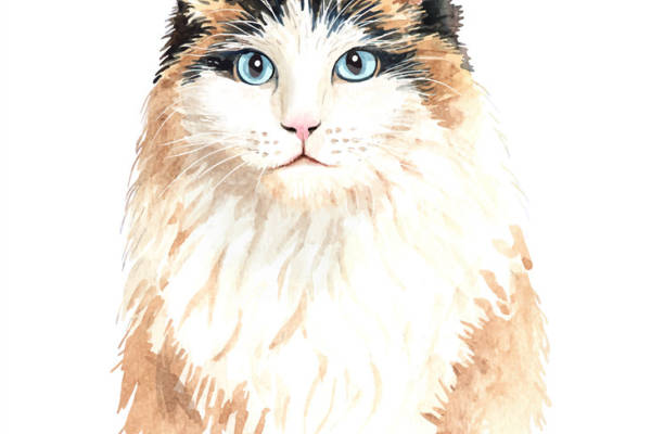 时尚猫咪裁片印花服装:萌趣个性的宠物主题设计