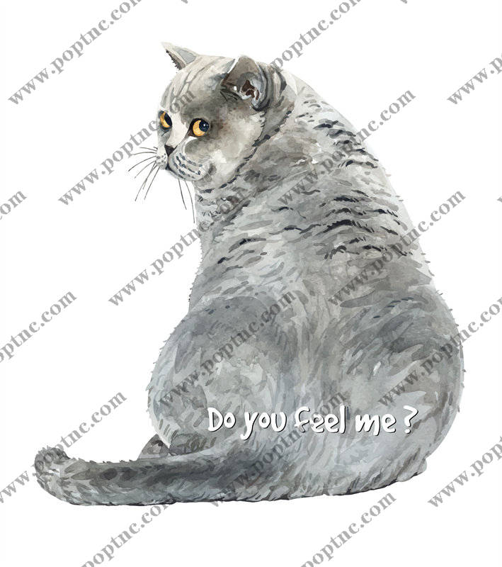 时尚猫咪裁片印花服装,展现个性与温暖