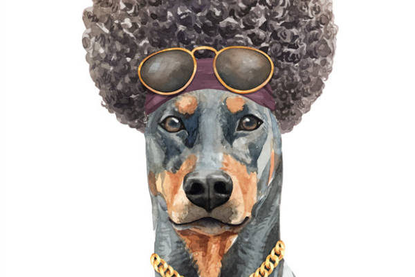 时尚潮狗裁片印花服装，酷炫墨镜与金色链子的完美结合