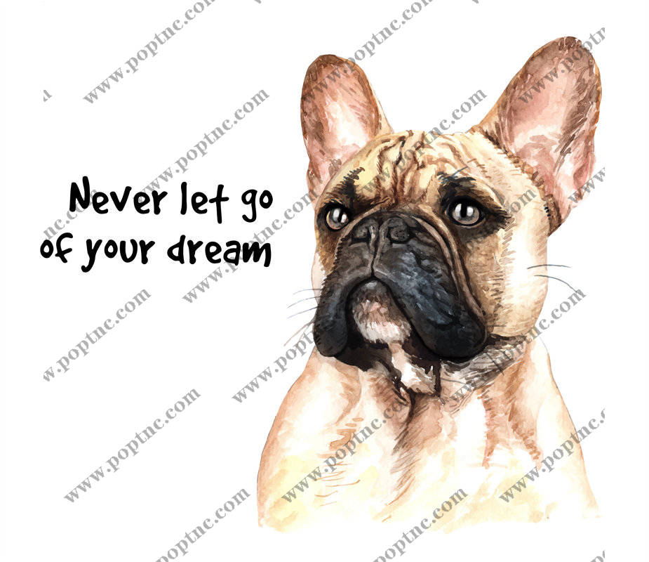 时尚法斗犬裁片印花服装 永不放弃梦想的励志图案
