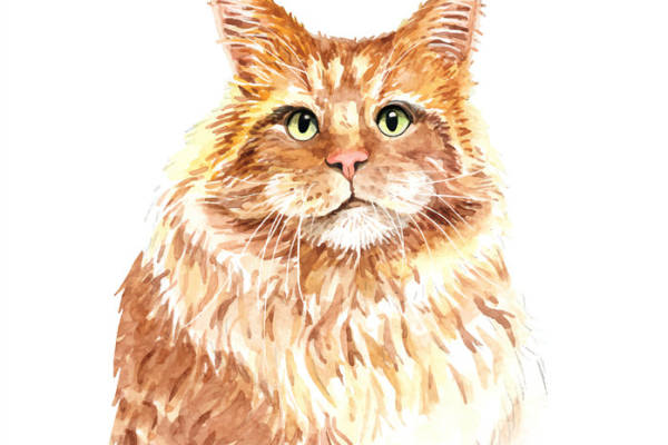 水彩风格可爱猫咪裁片印花服装印花设计