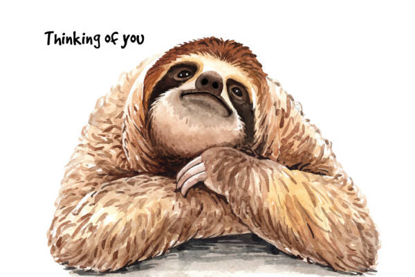 可爱树懒裁片印花服装，温馨思念主题服装印花设计