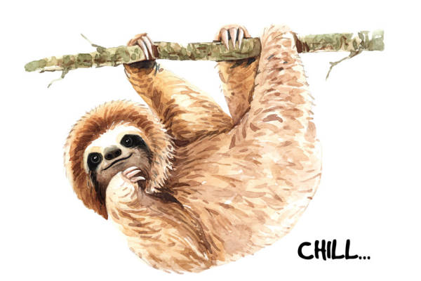 可爱树懒裁片印花服装印花设计,轻松休闲风格