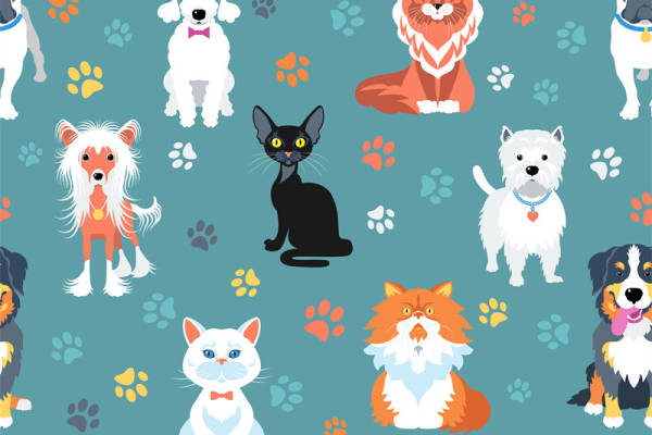 可爱宠物图案面料印花，适用于儿童服装印花设计