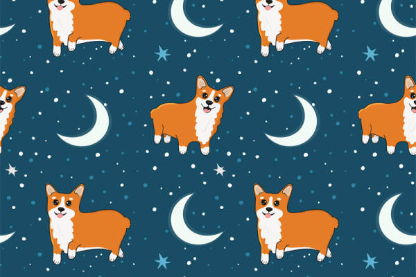 可爱柯基犬夜空主题面料印花服装印花设计