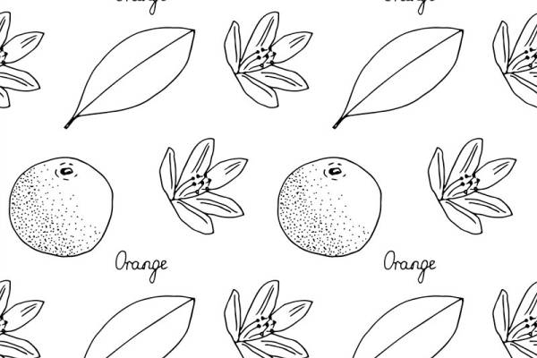 清新自然风格服装印花：橙子与花朵图案面料印花