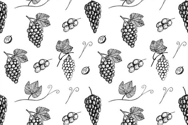 优雅葡萄藤图案面料印花,经典黑白服装印花设计