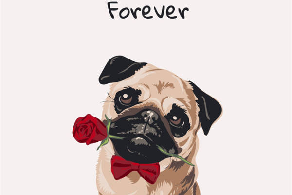 可爱巴哥犬裁片印花服装，传递永恒爱意的时尚选择