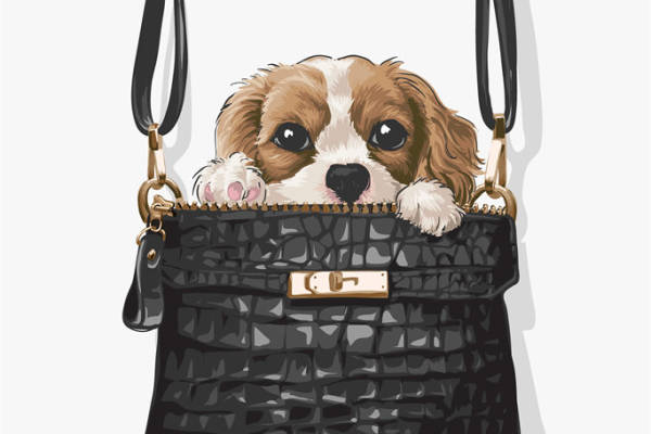 可爱狗狗图案裁片印花服装印花设计