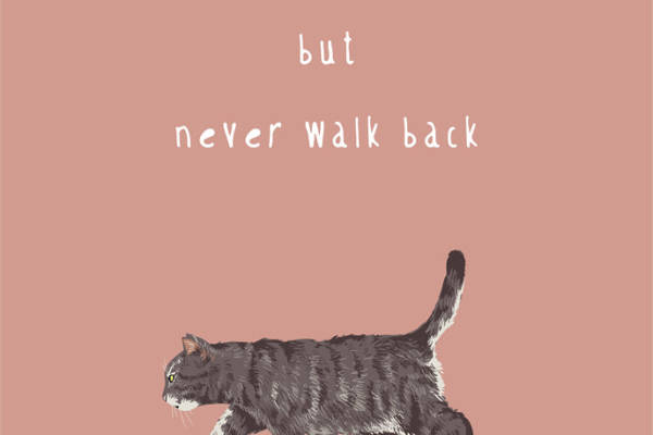 时尚猫咪裁片印花服装,展现个性与态度的潮流选择