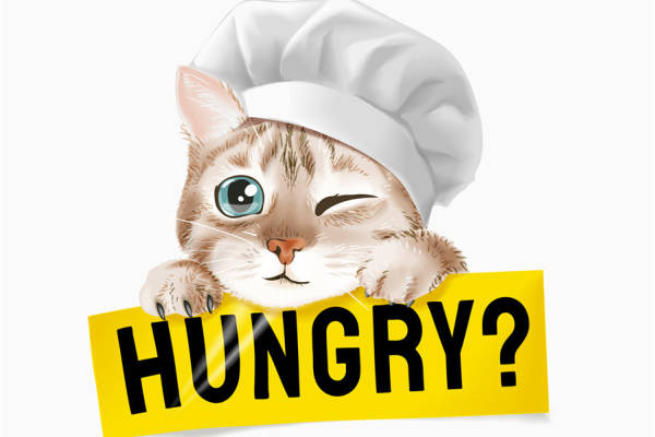 可爱猫咪厨师裁片印花服装,趣味服装印花设计