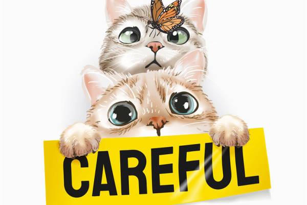 可爱猫咪裁片印花服装，温馨提醒小心谨慎