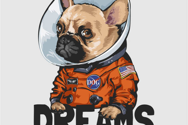 太空梦想家：可爱法斗犬裁片印花服装