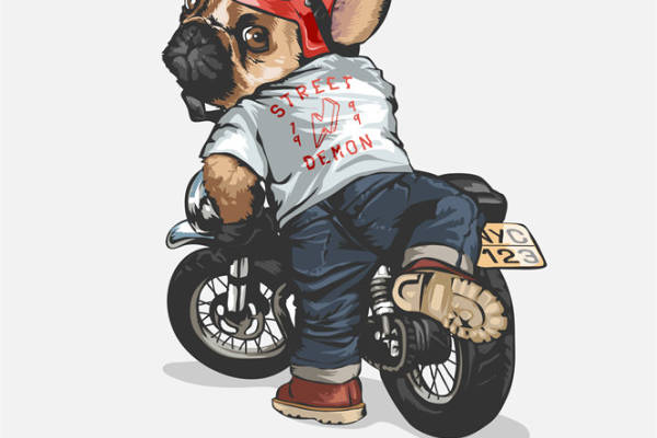 酷炫狗骑摩托车裁片印花服装，展现个性时尚