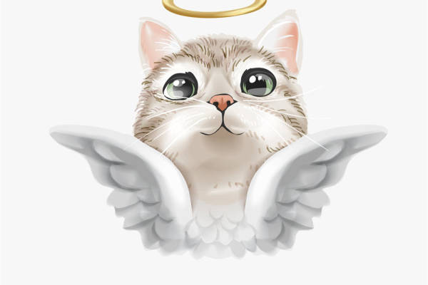 天使猫咪裁片印花服装，可爱翅膀设计，适合儿童和宠物爱好者