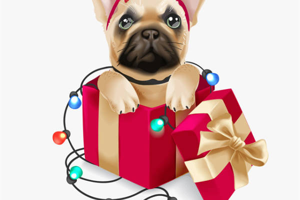 可爱巴哥犬裁片印花服装,节日礼物包装设计