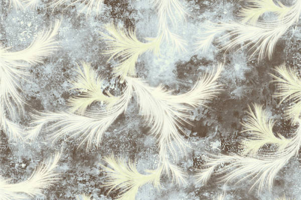 优雅羽毛图案面料印花 时尚服装印花设计