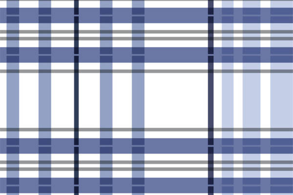 经典蓝白格子服装印花面料，打造时尚休闲风格