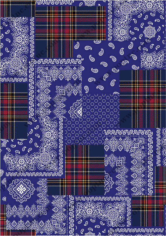 经典蓝白格子与佩斯利花纹面料印花服装