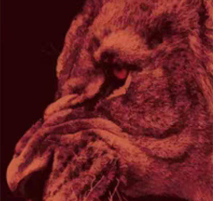 独特风格裁片印花服装：狂野狮子图案设计