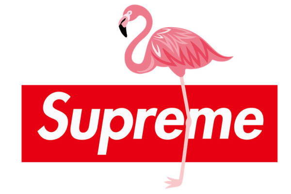 时尚潮流火烈鸟裁片印花服装印花设计