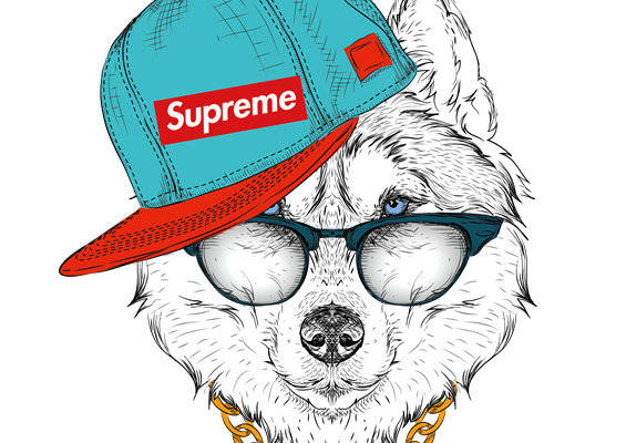 时尚潮流狗狗裁片印花服装印花设计