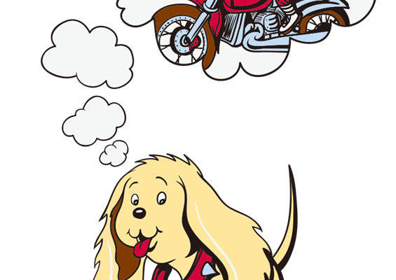 创意裁片印花：骑摩托车的狗与Killer狗粮服装印花