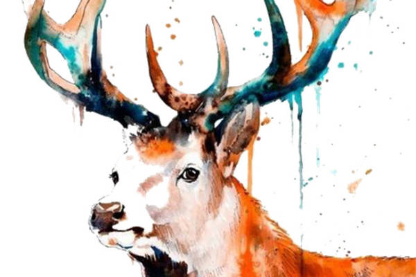 水彩风格鹿头裁片印花服装,展现自然之美的时尚选择