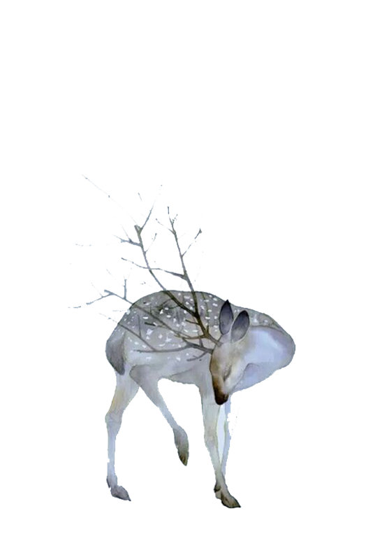 优雅鹿纹裁片印花服装，自然风格服装印花设计