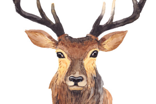 自然风格麋鹿裁片印花服装 独特设计引领时尚潮流