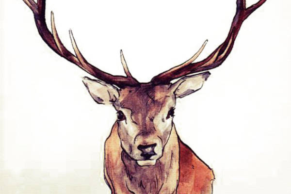 自然风格麋鹿头裁片印花服装，展现独特艺术魅力