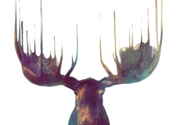 时尚水彩鹿头裁片印花服装，展现自然之美