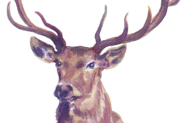 水彩风格鹿头裁片印花服装印花设计