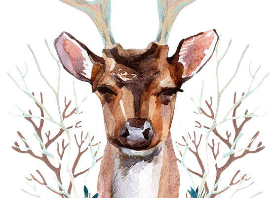 优雅鹿头与花卉裁片印花服装设计