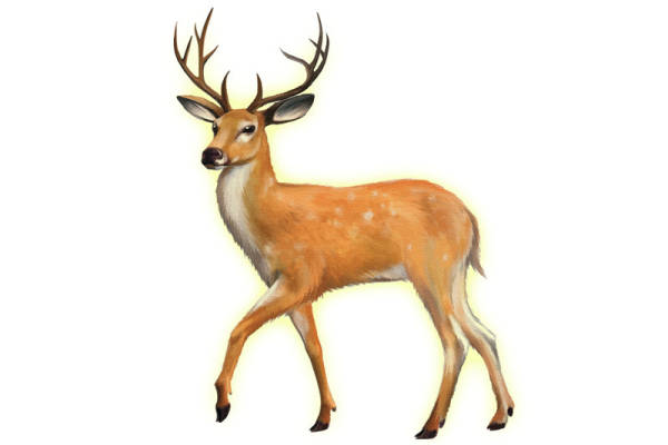 时尚自然风鹿纹裁片印花服装印花设计