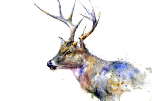 时尚鹿纹裁片印花服装，展现自然之美的服装印花设计