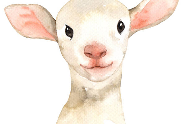 可爱卡通小羊裁片印花服装设计