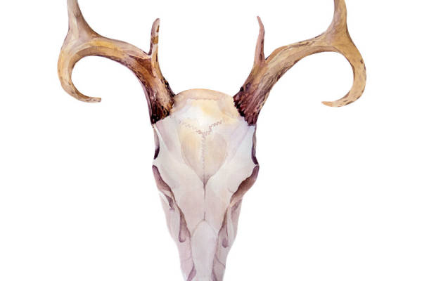 自然风格鹿角裁片印花服装，展现独特艺术魅力