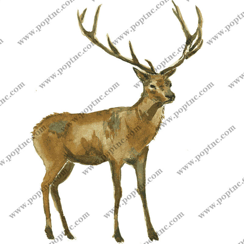 自然风鹿纹裁片印花服装,优雅与野性的完美结合