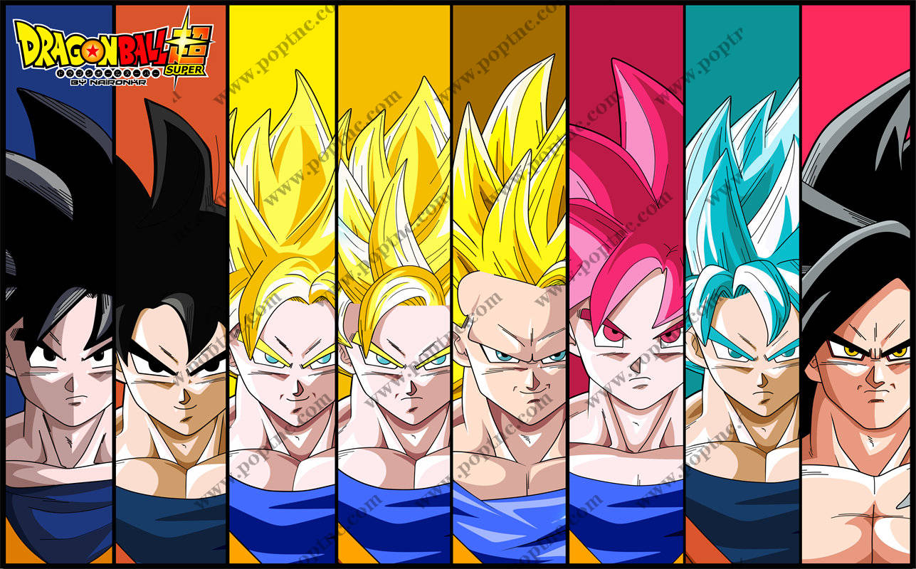 探索龙珠超级裁片印花服装印花设计灵感